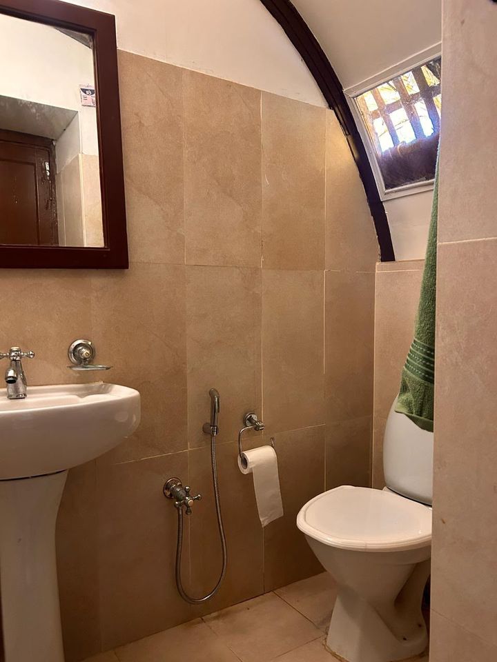 Tiled bathroom with washbasin, mirror, hand shower and western toilet under the curved roof